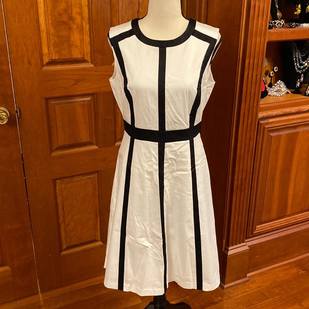 B&W Calvin Klein Dress